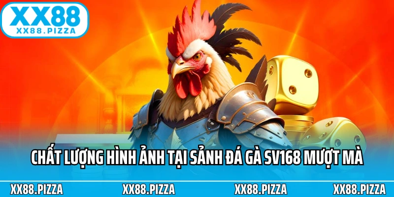 Chất lượng hình ảnh tại sảnh đá gà SV168 mượt mà